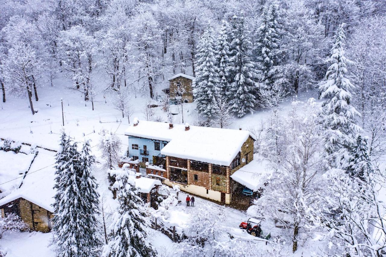 Iduevagamondi - Ospitalita Rurale Famigliare Di Montagna Bed & Breakfast Chiusa di Pesio ภายนอก รูปภาพ
