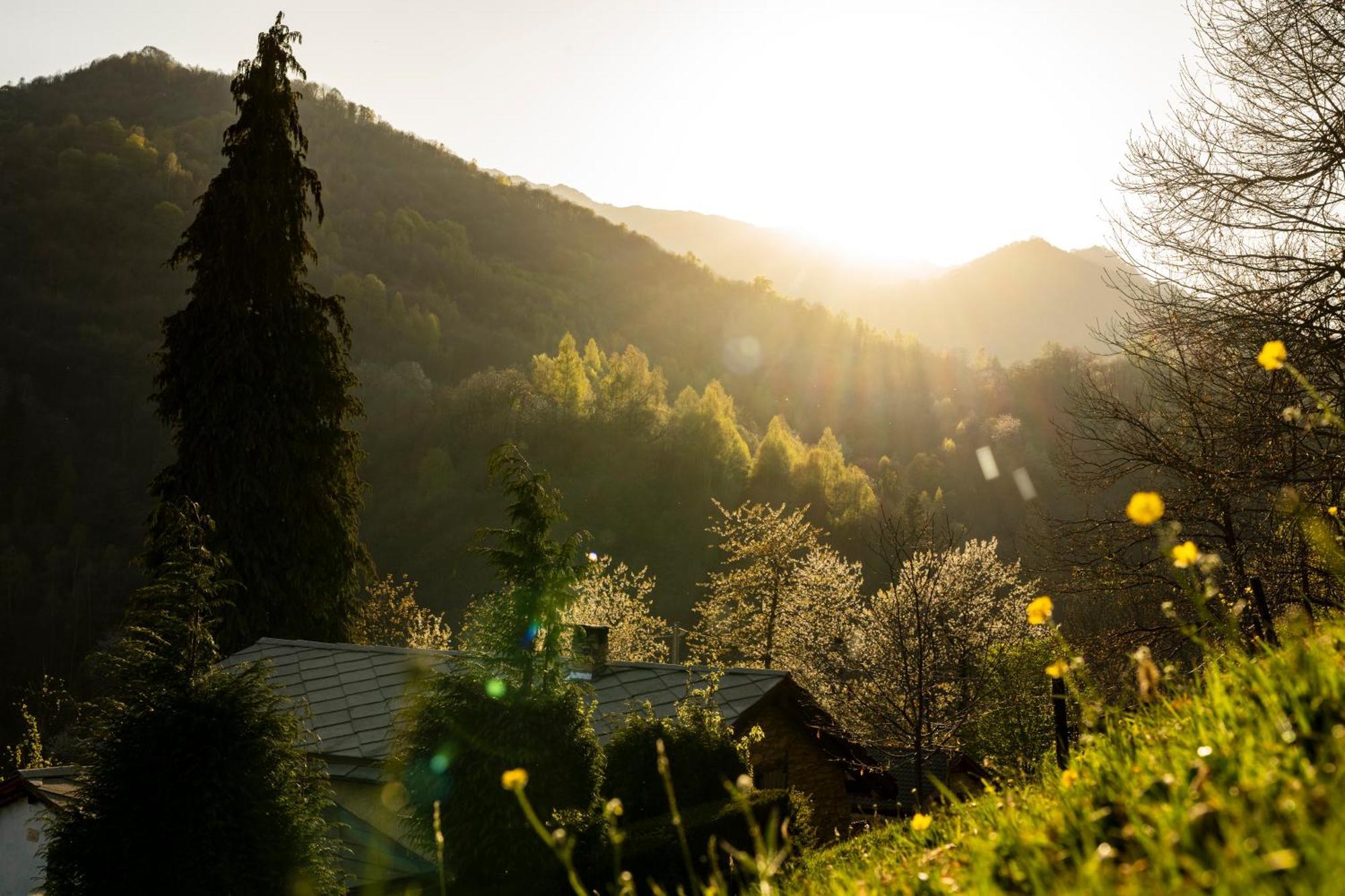 Iduevagamondi - Ospitalita Rurale Famigliare Di Montagna Bed & Breakfast Chiusa di Pesio ภายนอก รูปภาพ